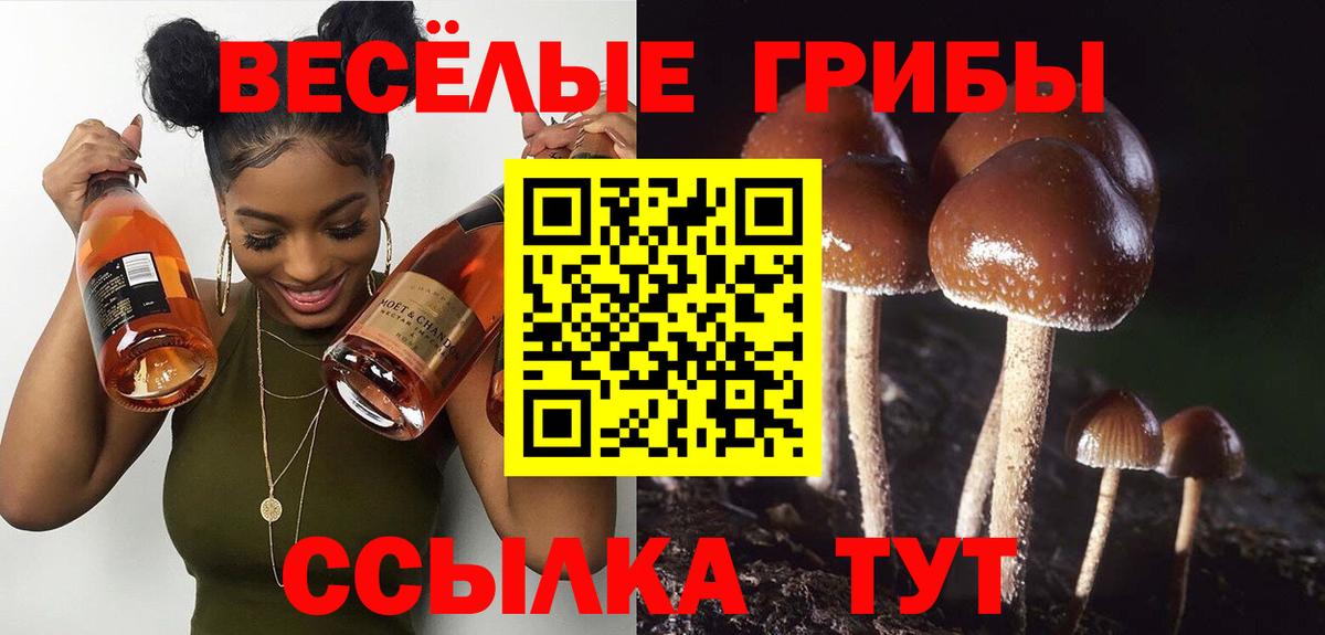 Галлюциногенные грибы Cubensis Новочеркасск