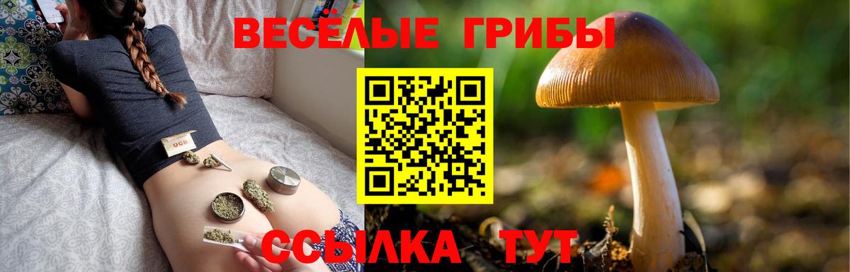 Галлюциногенные грибы MAGIC MUSHROOMS  Вход с VPN  Новочеркасск 